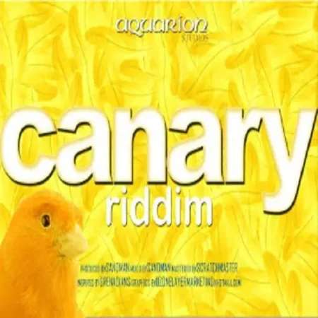 canary riddim - aquarion studios