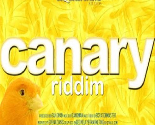 Canary Riddim 1