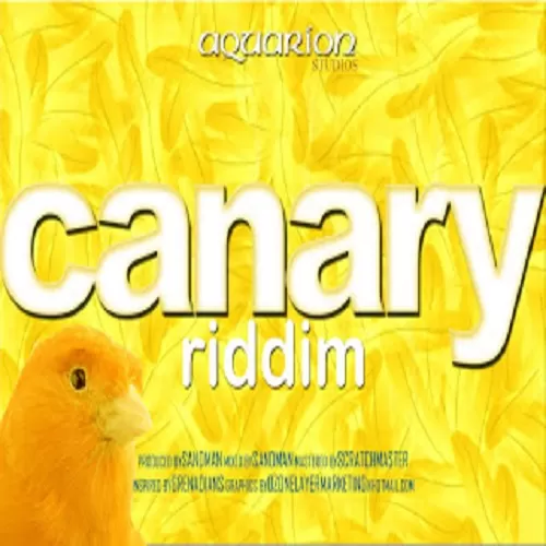 canary riddim - aquarion studios