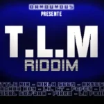 T.L.M Riddim – Damoumous And Joocka Record