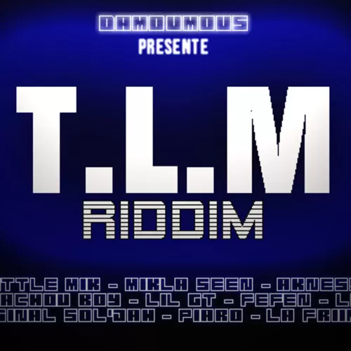 t.l.m riddim - damoumous and  joocka record