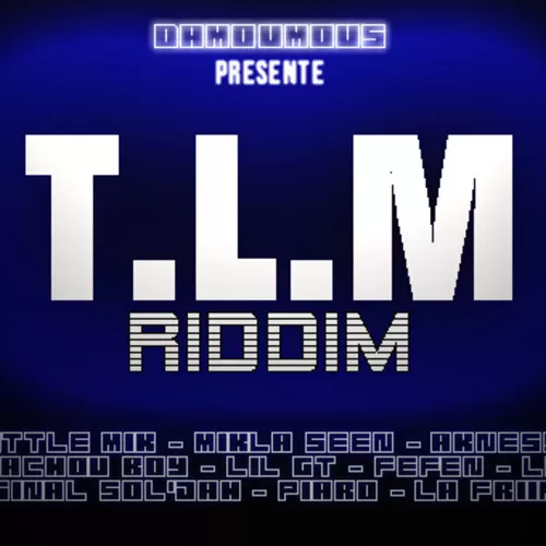 t.l.m riddim - damoumous and joocka record