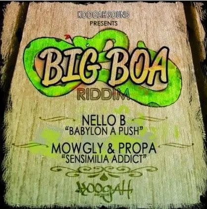 big boa riddim - koogah sound