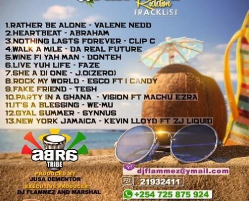 Discernment Riddim 1