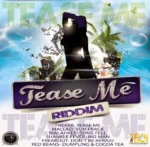 Tease Me Riddim – Tech Entertainment Dominant Muzik