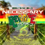 Necessary Reggae 2 – Hem Records
