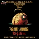 Brain Tumor Riddim – Kimichi Records