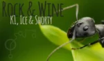 Black Ants Riddim – J.benjmin