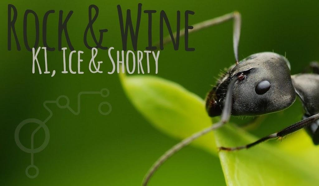 Black Ants 1