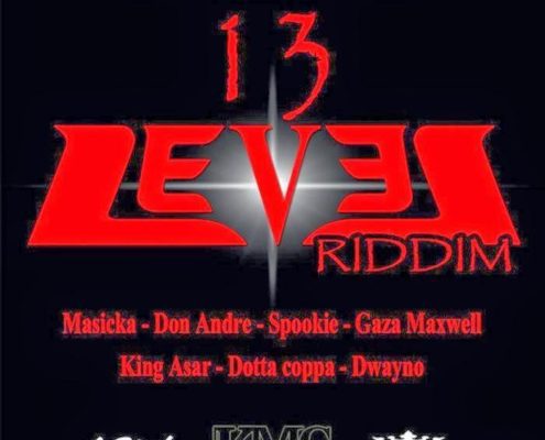 Level 13