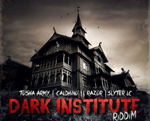 Dark Institute