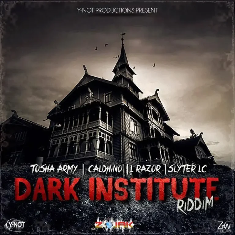dark institute riddim - y-not productions