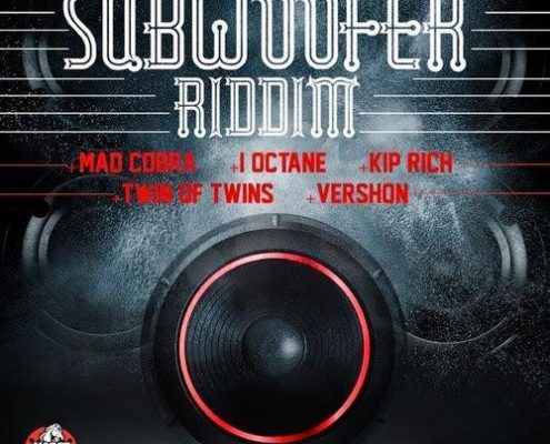 sub-woofer-riddim
