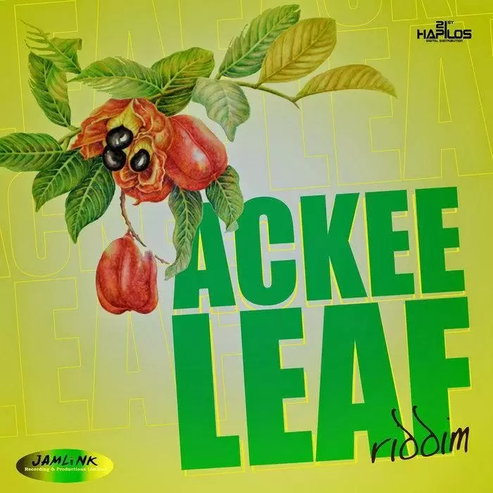 ackee leaf riddim - jamlink records