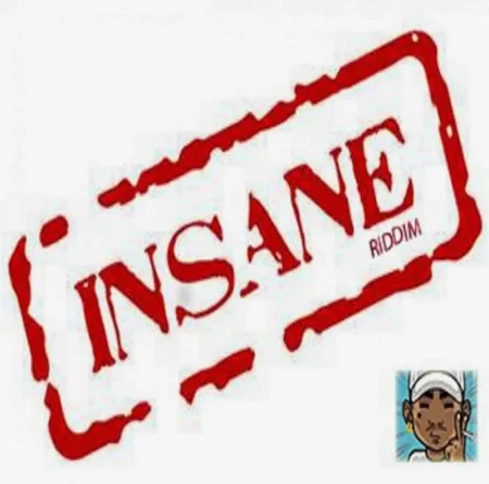 insane riddim (the remixes) - lexx musique