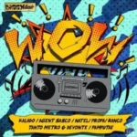 Wow!! Riddim (2015) – Biggy Music