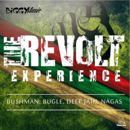 the revolt experience riddim - biggy music