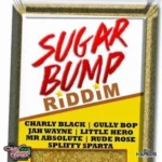 Sugar Bump Riddim – Jah Wayne Recordz