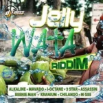 Jelly Wata Riddim – DJ Frass Records