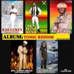 Tonic Riddim (2015) – Devada Productions