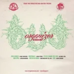 Bud Organizer Riddim (2015) – Rising Time Production