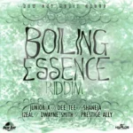 Boiling Essence Riddim – New Day Music