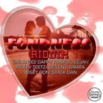 Fondness Riddim – Show Di Vybz