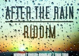After The Rain Riddim