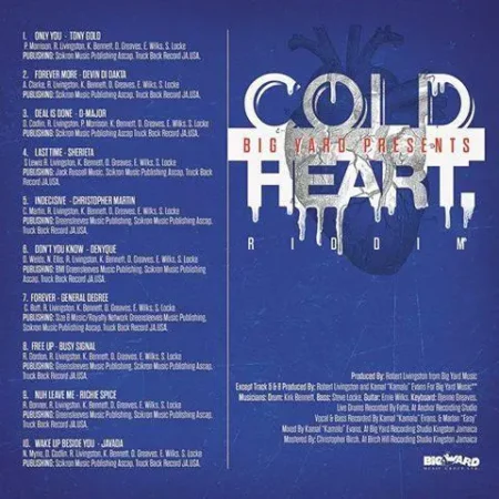 Cold Heart Riddim - Big Yard Music