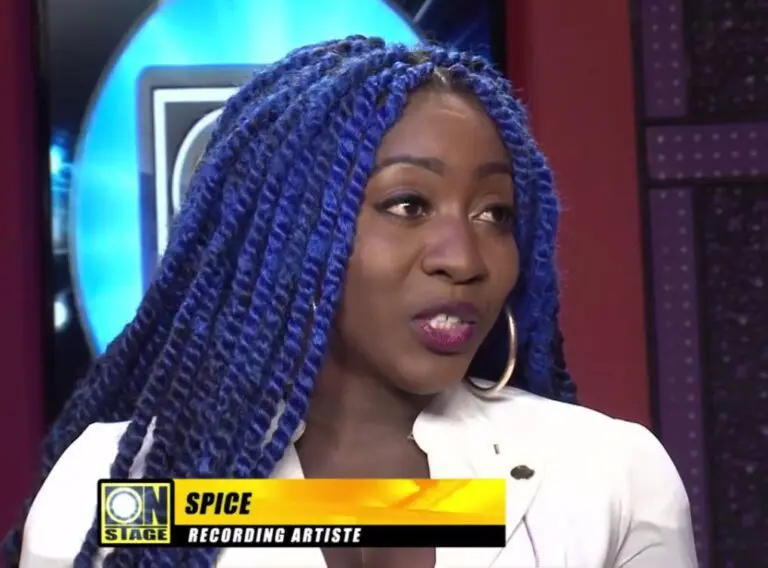 spice - needle eye exposed - onstage interview