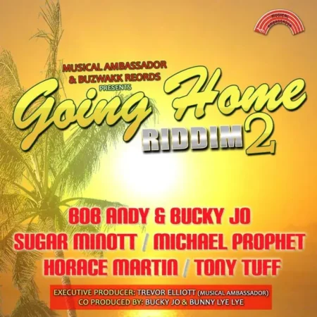 going home riddim 2 - musical abassador|buzakk records