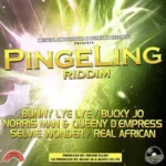 Pinge Ling Riddim – Buzwakk Records