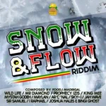 Snow Flow Riddim – Foodj Madrigal