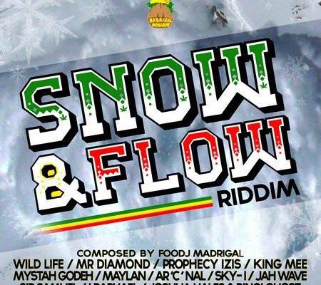snow-flow-riddim