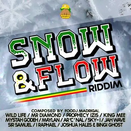 snow flow riddim - foodj madrigal