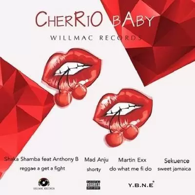 cherrio baby riddim - willmac records