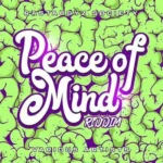 Peace Of Mind Riddim (2016) – Rastaboyz Society