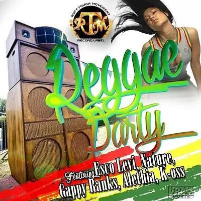 reggae party riddim - ruff touch movement