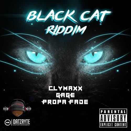 black cat riddim - datzryte
