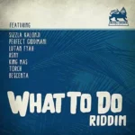What To Do Riddim – Royal Order Music