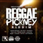 Reggae Pickney Riddim – Twelve 9 Records | Loud City Music