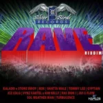 Rave Riddim – Silver Birds Records