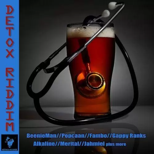 detox-riddim-notnice-records-2013