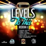 Levels To This Riddim – Frenz For Real Records