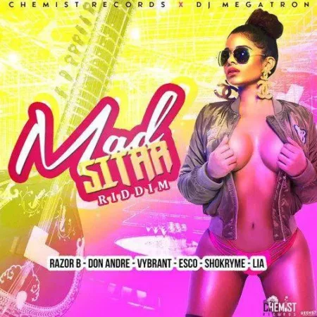 mad sitar riddim - chemist records / dj megatron