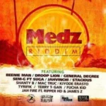 Medz Riddim – Spane Beats Records | Black Rogue International