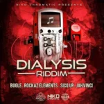 Dialysis Riddim – Niko Chromatic