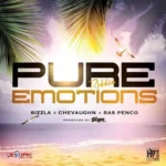 Pure Emotions Riddim – House Of Hit Muzik