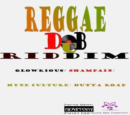 Reggae Dub Riddim 2017