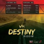 Destiny Riddim (2018) – Young Pow Production